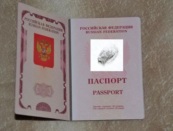 прописка в Кимрах